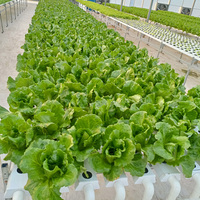 Fabricant professionnel de canaux en PVC sur mesure pour l'agriculture, les plantes commerciales, l'économie d'eau, l'hydroponie, système NFT