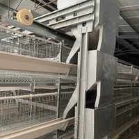 Cages à poulets de type H cage en grillage pour couveuse de poulets à couches d'œufs à vendre cages à poulets faites maison