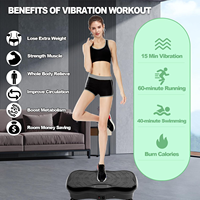 Plateforme vibrante oscillante puissante pour la perte de poids et le fitness à domicile, vente en gros directe usine de machines d'exercice ABS