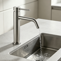 Robinet de lavabo en acier inoxydable 304 nickel brossé, mitigeur monocommande pour salle de bain
