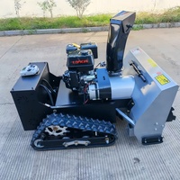 Soplador de Nieve Robótico Portátil con Orugas y Motor de Gasolina/Diésel de Arranque Eléctrico WIGON, Control Remoto, 1 Año de Garantía, 228 kg