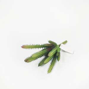 Cabezas <span class=keywords><strong>de</strong></span> flores <span class=keywords><strong>suculentas</strong></span> artificiales Plantas artificiales Aloe <span class=keywords><strong>Cactus</strong></span> Conjunto <span class=keywords><strong>de</strong></span> plantas en maceta Planta verde Micro Adorno <span class=keywords><strong>DE</strong></span> PAISAJE - Product Image 1