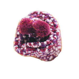 2025 Jingwen Luxury Thicker Female Coral <strong>Fleece</strong> Socks <strong>Warmer</strong> Crew Cupcake Design <strong>Ladies</strong> Home Gift Box Winter Socks - Product Image 6