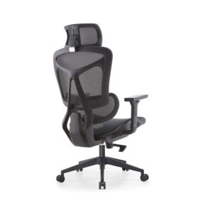 Fauteuil pivotant inclinable ergonomique moderne en plastique chromé avec support lombaire pour la maison et le bureau - Product Image 3