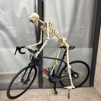 Décorations d'Halloween, accessoires animés, squelette de taille réelle de haute qualité avec articulations mobiles, 5,4 pieds de haut