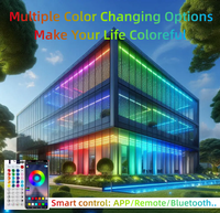 Bande LED intelligente RGB DMX à pixels adressables, en silicone pur, flexible, néon IP68, lumière de poursuite RGB, néon flexible pour bar/disco, bricolage, application/télécommande