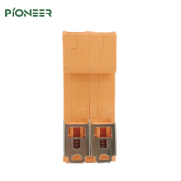 Bonne qualité 40KA 2P DC parasurtenseur pour système solaire dispositif de protection contre les surtensions DC SPD pour l'énergie solaire 1000VDC