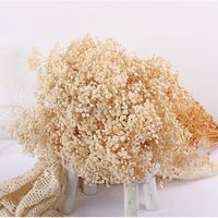 Vente en gros de fleurs de gypsophile séchées et préservées Fleurs d'haleine de bébé Décoration de fête de mariage à domicile Bouquet de fleurs de gypsophile