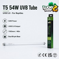 LuckyHerp T5 54W UVB5.0 Lampe UVB Spirale en Verre pour Reptiles - Écologique, Économe en Énergie, 46 pouces, 7000-8000K, 8000 heures, CRI80