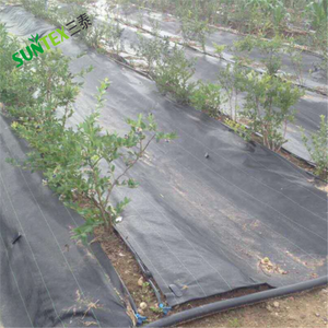 Toile de <span class=keywords><strong>paillage</strong></span> noire en polyéthylène stabilisée aux UV pour l'agriculture et l'aménagement paysager, barrière anti-mauvaises herbes pour le jardinage - Product Image 6