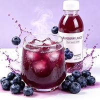 Minuman Jus Buah Blueberry 360g*12 Botol Siap Minum Rasa Berry Segar untuk Pesta Minuman Sehari-hari Pasokan Grosir