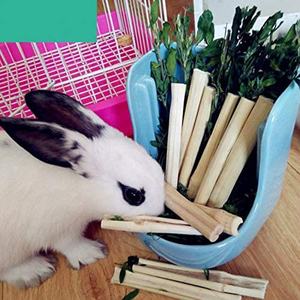 소동물 천연 대나무 씹는 장난감 건강 간식 (토끼, 기니피그, 친칠라, 다람쥐용 스틱) - Product Image 2