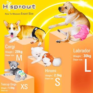 Pañal Ecológico de Tela Lavable para Perros, Pantalones Cortos Modernos para Perras - Product Image 3