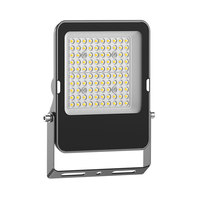 Projecteur LED Extérieur Étanche IP66 50W pour Jardin, Éclairage Mural et Projecteur de Jardin