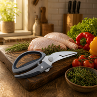Ciseaux de cuisine robustes Oultry, 9 pouces, en acier inoxydable, pour os de poulet, avec ressort et verrou de sécurité en plastique