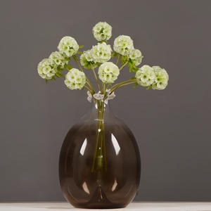 Vente en gros de graines de Scabiosa bleue de la marque Beimi, fleurs de coussin de rose pépentine, plantes vivaces pour jardin, 55 cm, respectueuses de l'environnement, prêtes à planter - Product Image 2