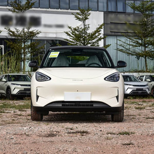 Nouvelle voiture électrique Geely Xingyuan 2026 en promotion – Véhicules électriques neufs à énergie pure – Nouvelle arrivée – Acompte - Product Image 2