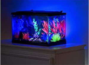 Hoge Kwaliteit Ada Bodem Natuurlijk Aquarium Grind Roze Groen Blauw - Product Image 4