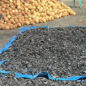 Carbón de Coco Natural de Alta Calidad para Narguile/Shisha, Disponible en Formas de Cubo, Hexagonal, Cilíndrico y Tableta - Product Image 1