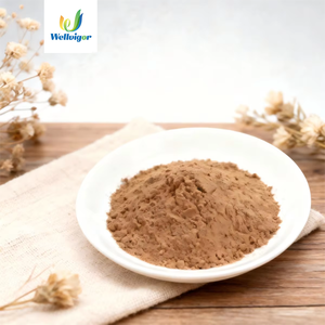 บรรจุภัณฑ์แบบดรัมผงโพลีโกนัมและทรานส์เรสเวอราทรอลสารสกัดจากราก99% - Product Image 1