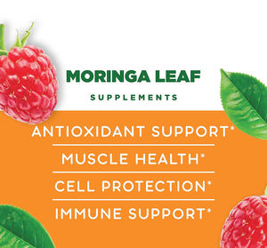 Gomitas de hoja de <span class=keywords><strong>Moringa</strong></span> de etiqueta privada, OEM, ODM, soporte antioxidante para la salud muscular, sistema inmunológico para adultos, no para mujeres embarazadas - Product Image 3