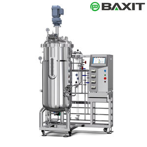 BAXIT Fermentador de Acero Inoxidable Estéril de 20L, Biorreactor con Control PLC para OEM, Capacidad Personalizable, Investigación Científica Celular - Product Image 6