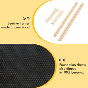 Marcos de Colmena Langstroth de Alta Calidad, Equipo de Apicultura de Madera de Pino para Granjas Apícolas - Product Image 3