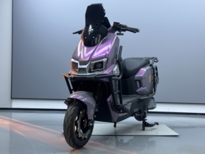 La Nueva Motocicleta Eléctrica <span class=keywords><strong>de</strong></span> Alta Potencia, la Nueva Motocicleta Eléctrica Grande Raytheon con Alta Velocidad, Certificada EEC CCC - Product Image 4