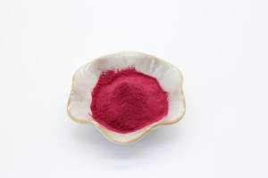 थोक कार्बनिक फ्रीज-सूखे लाल पिताया निकालने 10:1 विलायक निष्कर्षण पानी में घुलनशील - Product Image 4