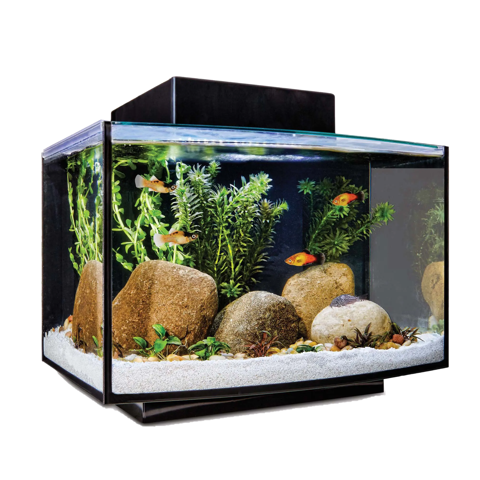 Aqua 60 LED Tropical Glass Aquarium