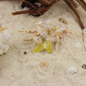 Venta caliente imán de nevera decoración de conchas marinas espécimen cangrejo estrella de mar playa recuerdo resina modelo decoración del hogar sensación de mar - Product Image 3