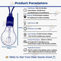 Guirlandes lumineuses d'extérieur personnalisables, étanches IP65, ampoules LED en plastique, lumières féériques, prise AC, longueur 5 m, garantie 3 ans, décoration