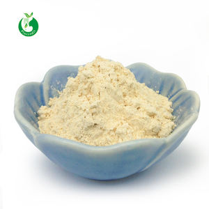 GMP tedarikçisi en iyi fiyat doğal kaktüs özü tozu - Product Image 4