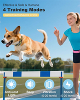 800m Elektrisches Hundetrainingshalsband mit 20 Stufen Schock-Vibration Wasserdichtes Ferngesteuertes Aufladbares Hundetrainingshalsband