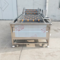 YouBan CE-gecertificeerde 304 roestvrijstalen bubbelwasmachine automatische groente- en fruitwasser luchtbellenreinigingsapparatuur