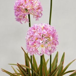 Elegante Mazzo di Fiori Artificiali Agapanthus Viola Blu Giglio del <span class=keywords><strong>Nilo</strong></span> per Centrotavola da Hotel, Interni, Esterni e Matrimoni - Product Image 4
