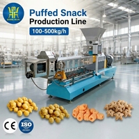 Ligne de production entièrement automatique de snacks soufflés à base de farine de maïs, machine à fabriquer des boules de fromage et de miel à double vis en acier inoxydable