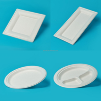 100% bagasse compostable assiettes de 10 pouces assiette de bagasse blanche jetable écologique