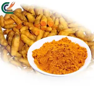 Wholesale Good Taste Natural Turmeric Curcumin Powder Curcuma Extract Powder 95 High Quality Organic Turme