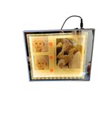 Groothandel goedkope plastic LED fotolijst bruiloftspaar fotolijst Valentijnsdag tafeldecoratie lijst tafel LED fotolijst