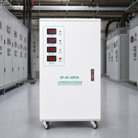 Stabilisateur de tension triphasé 380V 40kVA, régulateur automatique avec parafoudre intégré et dispositif de sécurité contre les surcharges