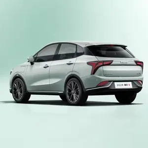 2022 piccolo SUV NETA V puro veicolo elettrico 40KW gamma 301KM auto ad alte prestazioni