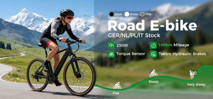 Vélo électrique adulte 250W, vélo électrique pas cher, mini vélo électrique pliable, vélo électrique à pneus larges, vélo électrique de style urbain pour les trajets quotidiens - Product Image 2