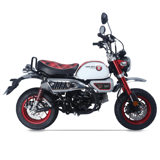 125CC Minibike Gas Off Road Motorcycle Trail Pit Bike 4 Stroke Chain Drive Motocross Dirt Bike for Adult for Street