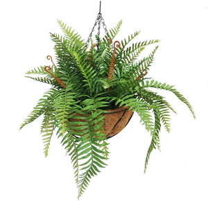 Pianta appesa <span class=keywords><strong>felce</strong></span> artificiale alta 55cm con cesto finto appesa <span class=keywords><strong>felce</strong></span> - Product Image 3
