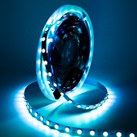 Bande lumineuse LED RGB 24V 5050 10mm de largeur 60leds/m Bandes LED flexibles