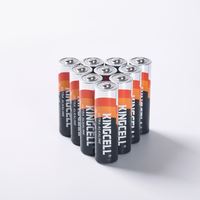 Pile alcaline AA LR6 haute performance pour télécommandes, appareils électroménagers et électronique grand public – Durée de vie de 10 ans