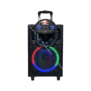 וופר תיאטרון ביתי נייד 12 אינץ 'עם סוללה מופעלים חומר עץ לשימוש בגלי קרקריוקי - Product Image 2