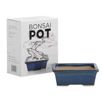 Kit professionnel complet d'outils et de fils pour bonsaï, pour la maison et le jardin