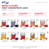 Jus Concentré Purée Qualité Export 1kg x 12 Sachets Carton 10 Saveurs pour Marques Internationales de Bubble Tea
